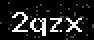 verify code