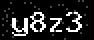 verify code