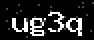 verify code